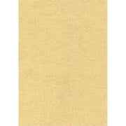 Folia Fil Kağıdı Güderi 110Gr 50x70cm