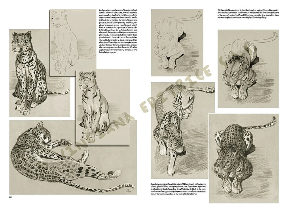 Leonardo Collection Desen Kitabı The Animals Of Mathurin Meheut N: 36