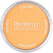 PanPastel Artist's Pastel Boya 952.5 Pearlescent Orange