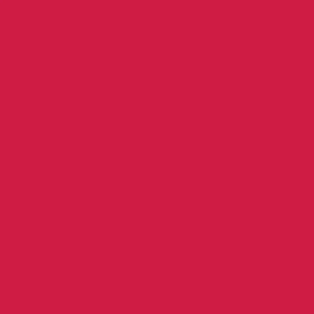 Realbrush Pigment Marker Magenta Red
