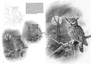Leonardo Collection Desen Kitabı Birds N: 28 Kuşlar N: 28