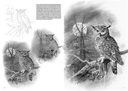 Leonardo Collection Desen Kitabı Birds N: 28 Kuşlar N: 28