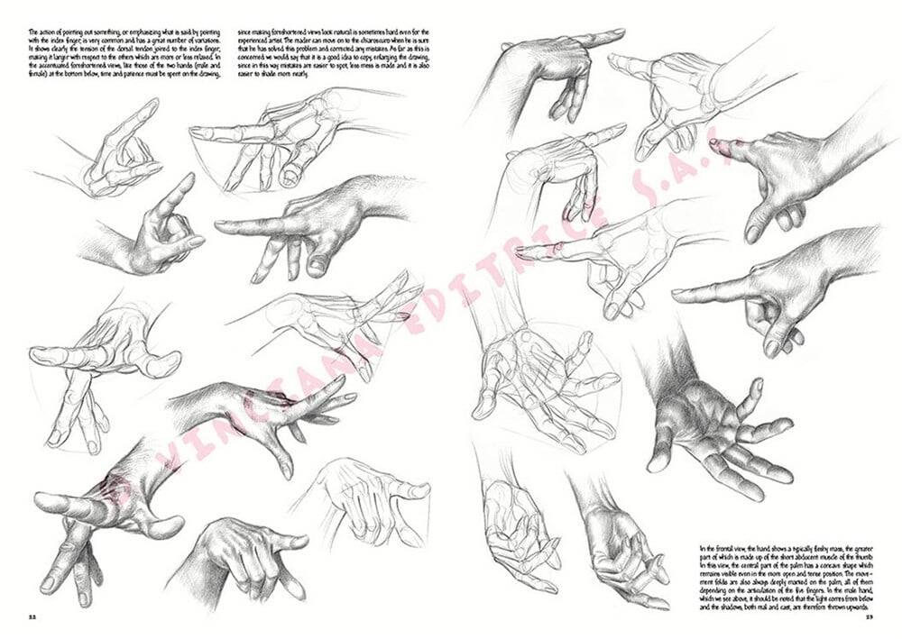 Leonardo Collection Desen Kitabı The Fundamentals Of Drawing N: 3 Temel Çizim Kuralları N: 3