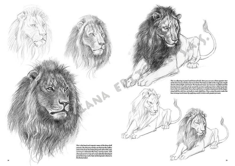 Leonardo Collection Desen Kitabı Animals N: 12 Hayvanlar N: 12