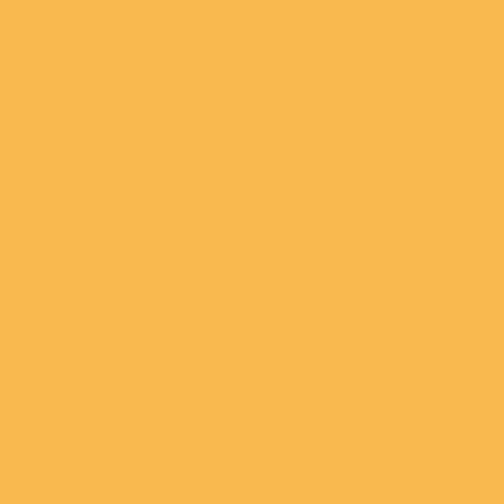 Realbrush Pigment Marker Pale Orange