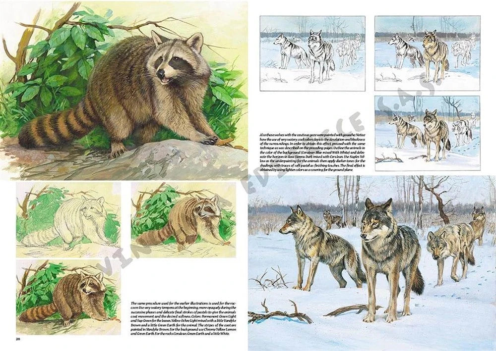 Leonardo Collection Desen Kitabı Animals N: 12 Hayvanlar N: 12