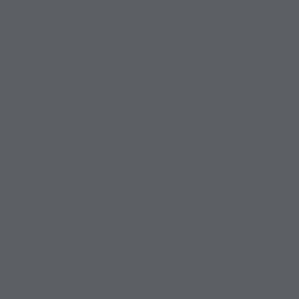 Realbrush Pigment Marker Cool Grey 3