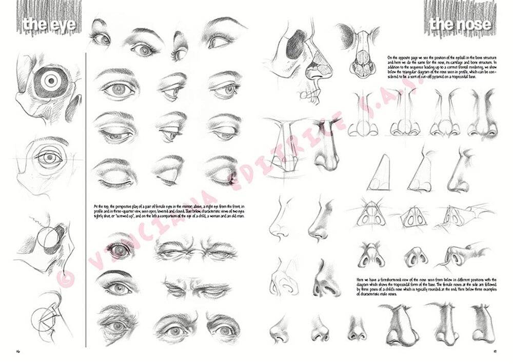 Leonardo Collection Desen Kitabı The Fundamentals Of Drawing N: 3 Temel Çizim Kuralları N: 3