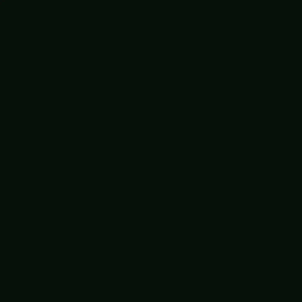 Realbrush Pigment Marker Black