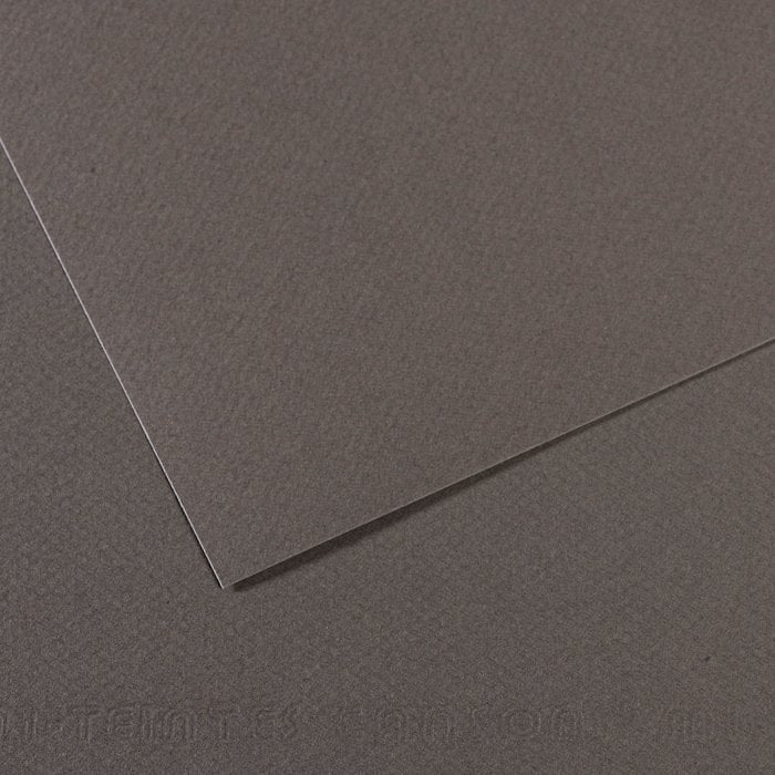 Canson Mi-Teintes Pastel Kağıdı 50x65 160g 343 - Pearly