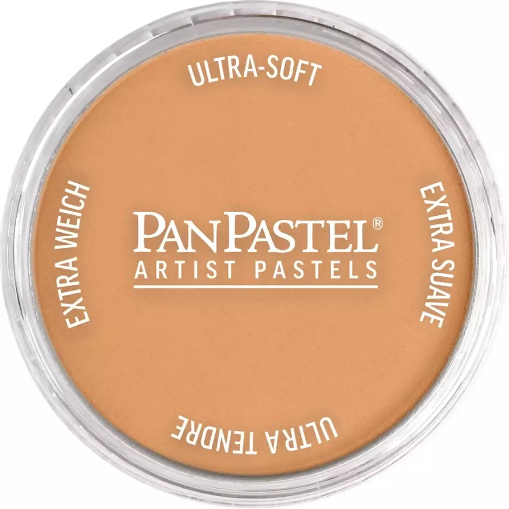 PanPastel Artist's Pastel Boya 930.5 Bronze