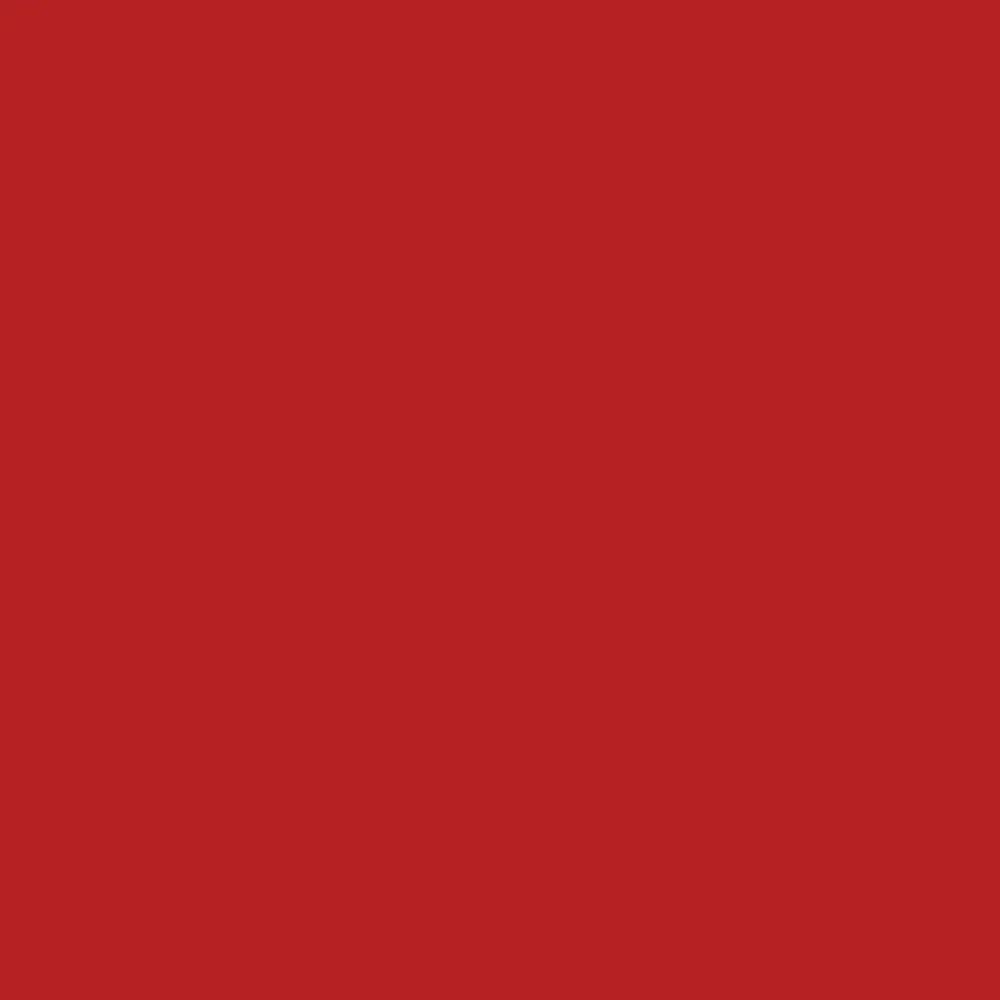 Realbrush Pigment Marker Lipstic Red