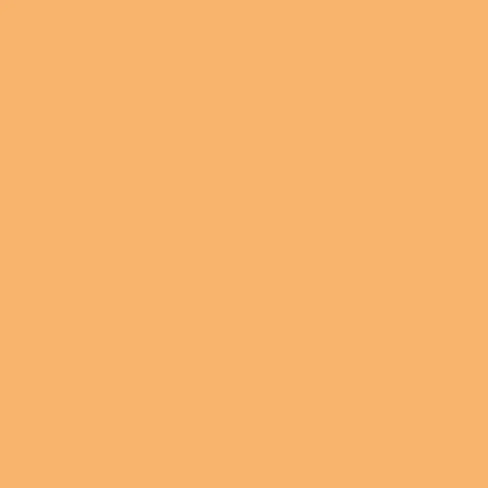 Realbrush Pigment Marker Pastel Pumpkin