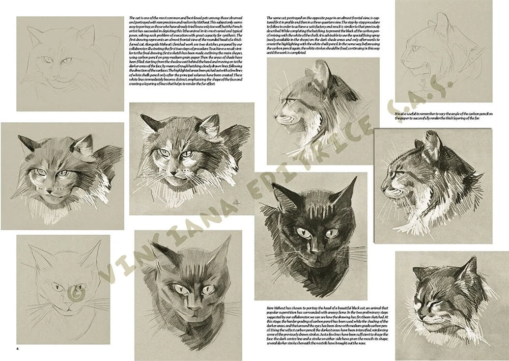 Leonardo Collection Desen Kitabı The Animals Of Mathurin Meheut N: 36