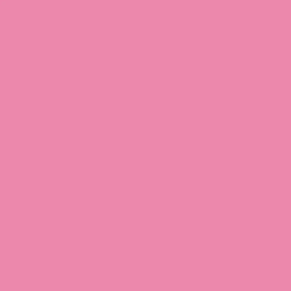 Realbrush Pigment Marker Pale Pink