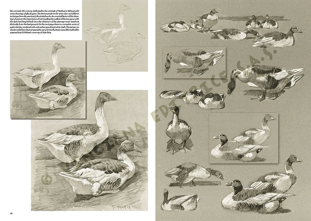 Leonardo Collection Desen Kitabı The Animals Of Mathurin Meheut N: 36
