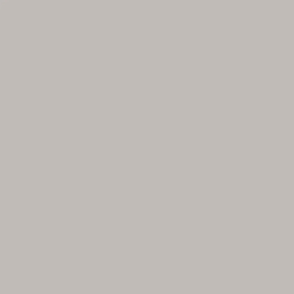 Realbrush Pigment Marker Warm Grey 1