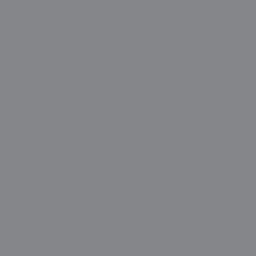 Realbrush Pigment Marker Cool Grey 2