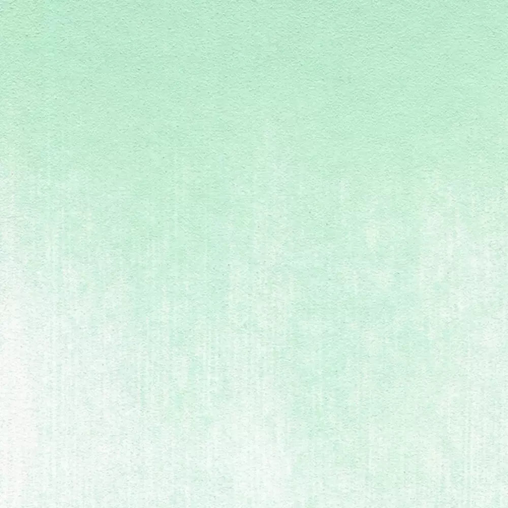 PanPastel Artist's Pastel Boya 640.8 Permanent Green Tint