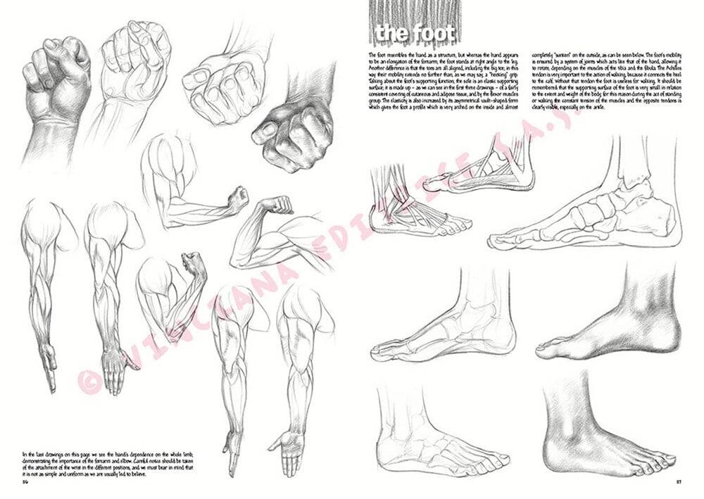 Leonardo Collection Desen Kitabı The Fundamentals Of Drawing N: 3 Temel Çizim Kuralları N: 3