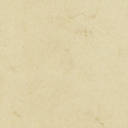 Karin Fil Kağıdı Ivory 70 x 100 cm 110 gr
