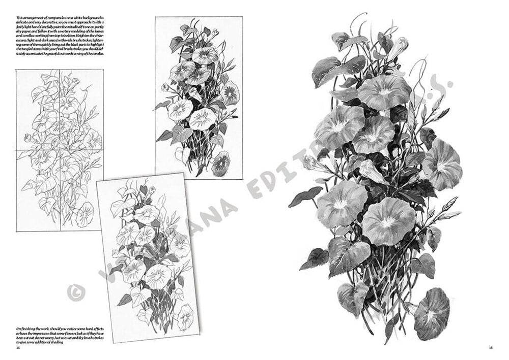 Leonardo Collection Desen Kitabı Flowers N: 20 Çicekler N: 20