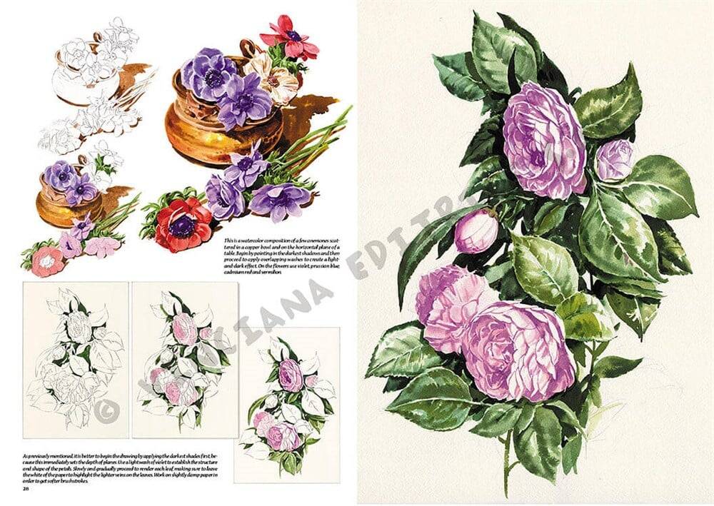 Leonardo Collection Desen Kitabı Flowers N: 20 Çicekler N: 20