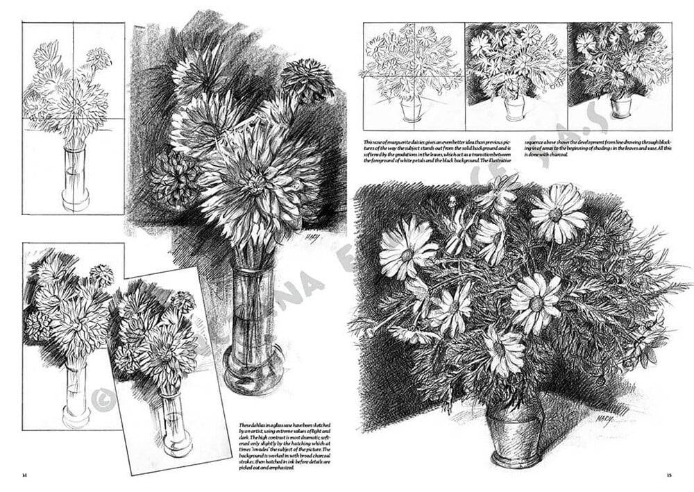 Leonardo Collection Desen Kitabı Flowers N: 21 Çicekler N: 21