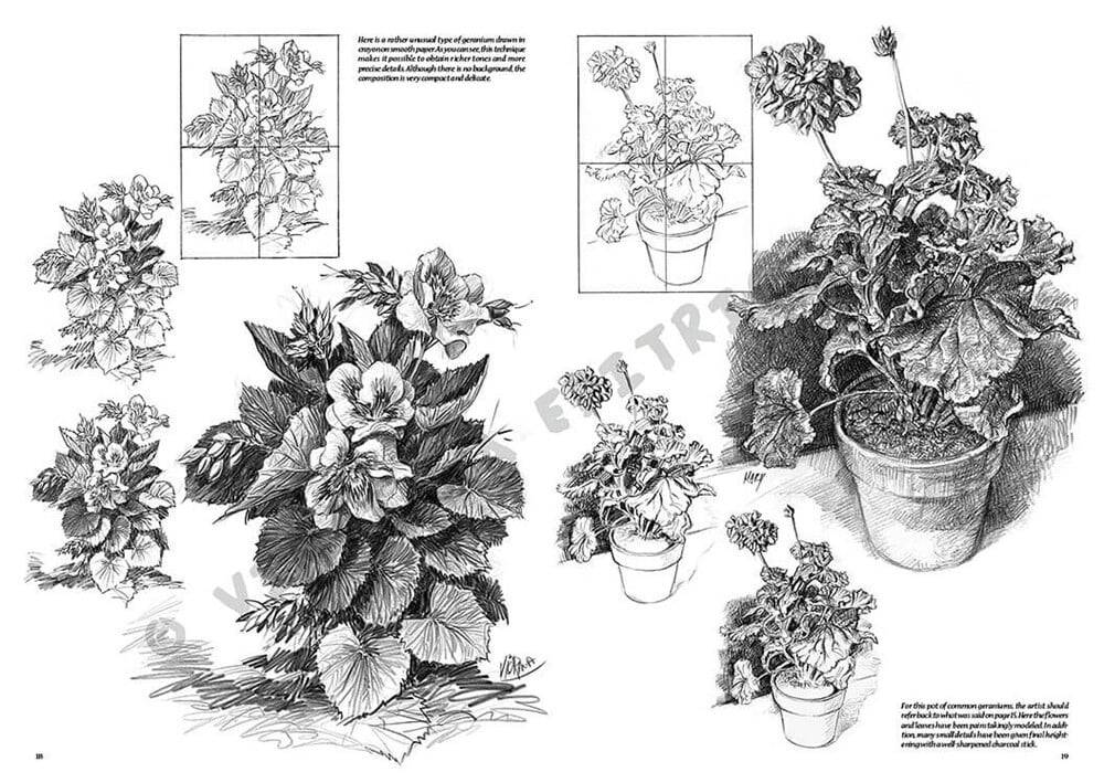 Leonardo Collection Desen Kitabı Flowers N: 21 Çicekler N: 21
