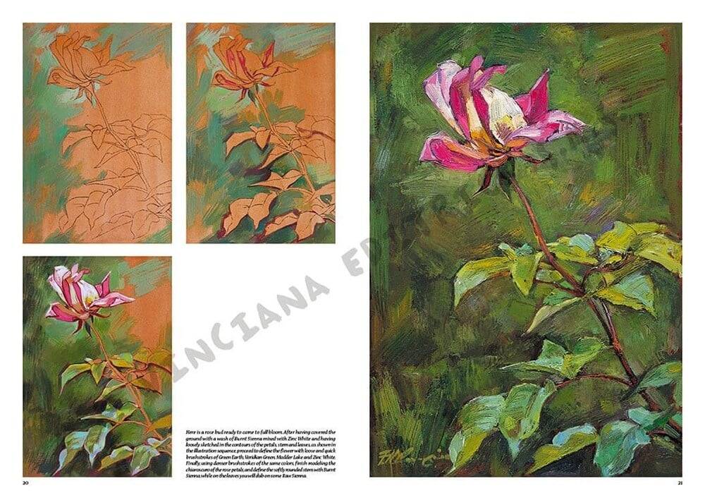 Leonardo Collection Desen Kitabı Flowers N: 22 Çicekler N: 22