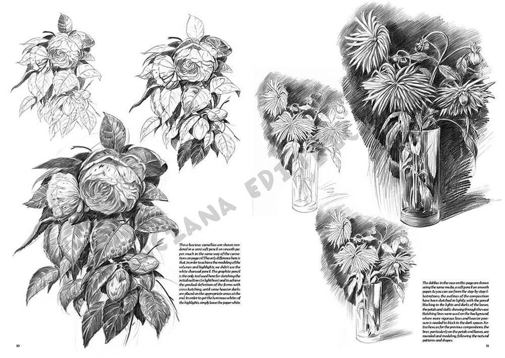 Leonardo Collection Desen Kitabı Flowers N: 22 Çicekler N: 22