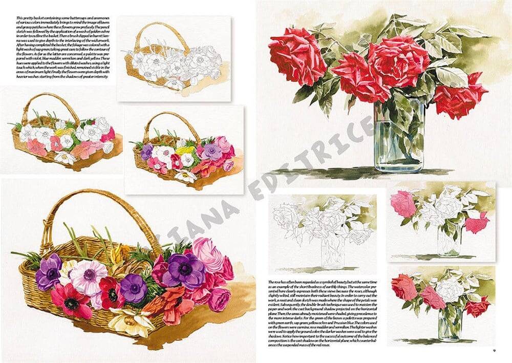 Leonardo Collection Desen Kitabı Flowers N: 23 Çicekler N: 23