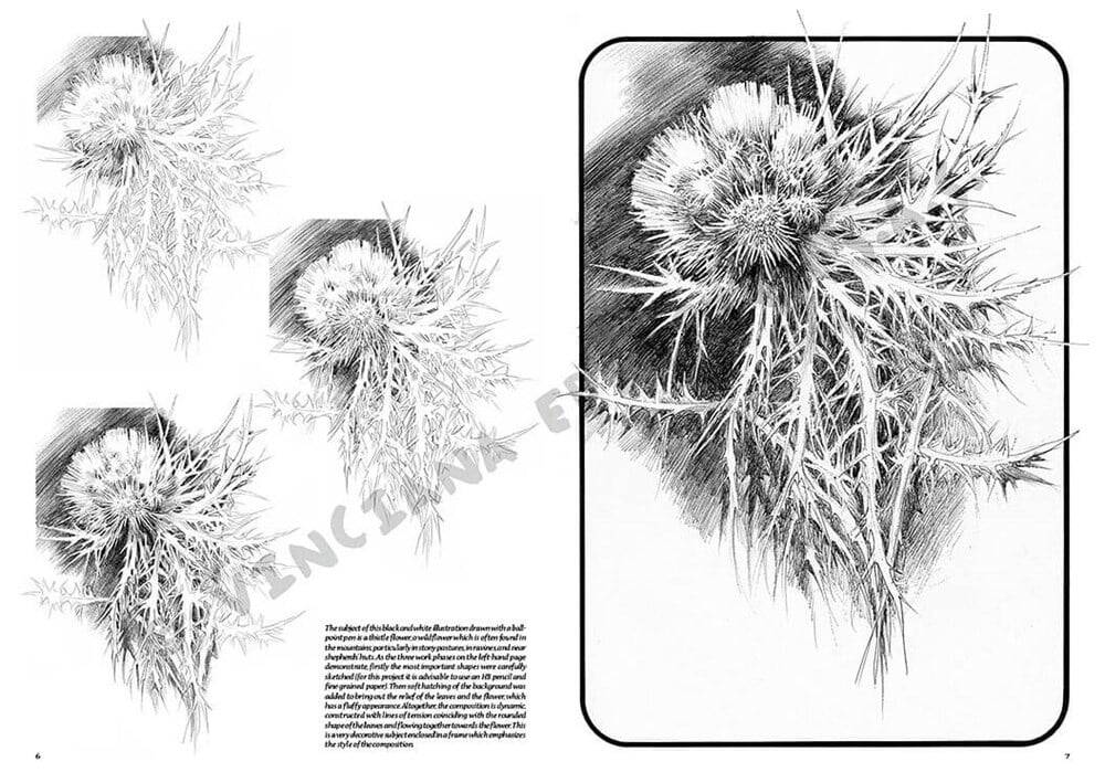 Leonardo Collection Desen Kitabı Flowers N: 23 Çicekler N: 23