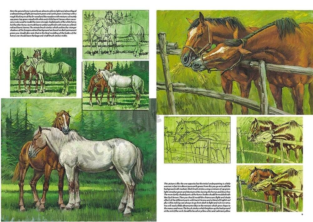 Leonardo Collection Desen Kitabı Horses No: 6 Atlar N: 6