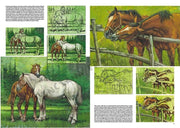 Leonardo Collection Desen Kitabı Horses No: 6 Atlar N: 6