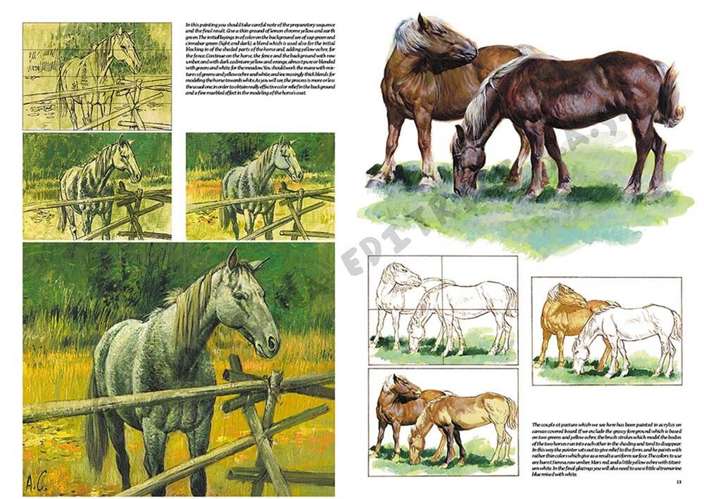 Leonardo Collection Desen Kitabı Horses No: 6 Atlar N: 6