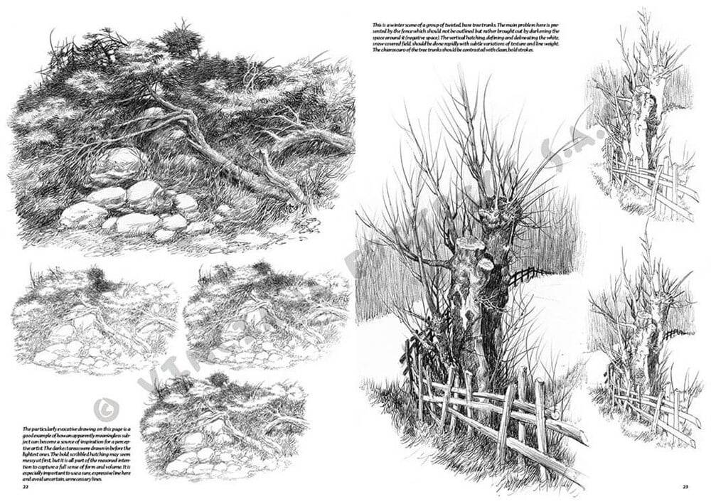 Leonardo Collection Desen Kitabı Landsapes N: 19 Manzaralar N: 19