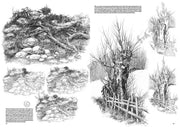 Leonardo Collection Desen Kitabı Landsapes N: 19 Manzaralar N: 19