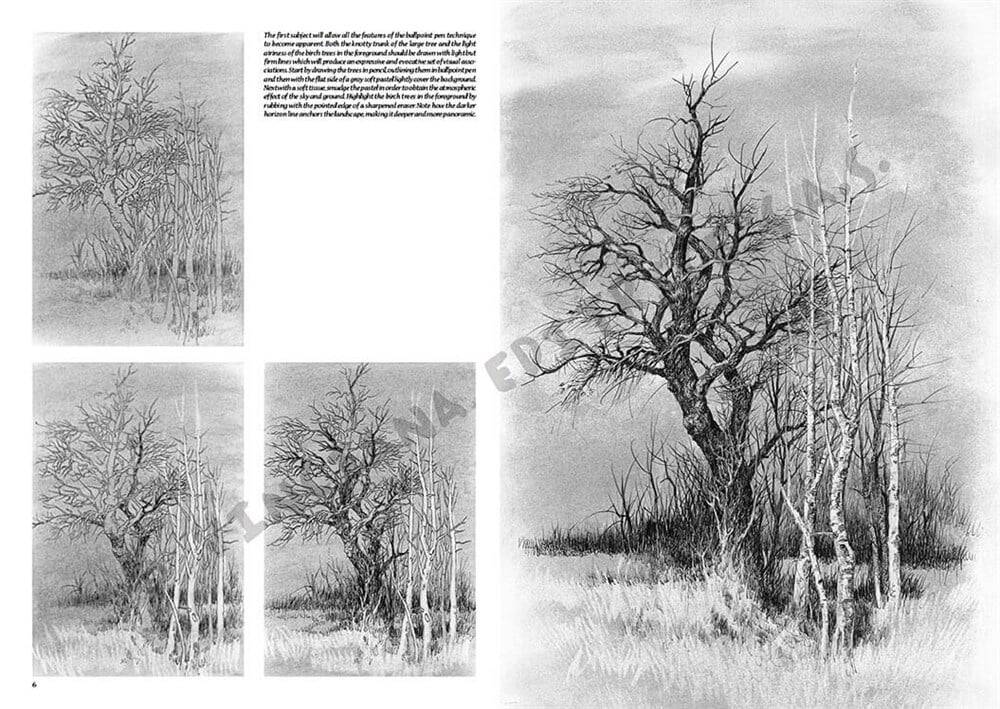 Leonardo Collection Desen Kitabı Landsapes N: 19 Manzaralar N: 19