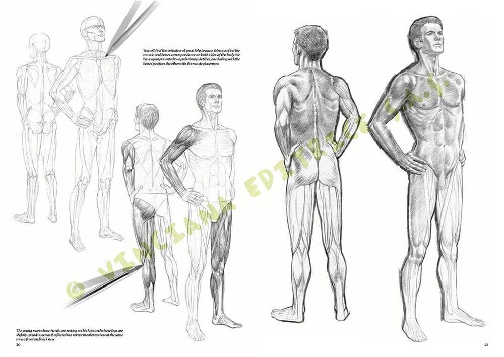 Leonardo Collection Desen Kitabı Nudes No: 10 Çıplak Çizim N: 10