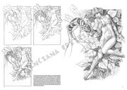 Leonardo Collection Desen Kitabı Nudes No: 7 Çıplak Çizim N: 7