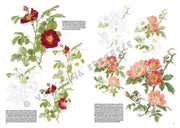Leonardo Collection Desen Kitabı Roses N: 42 Güller N: 42
