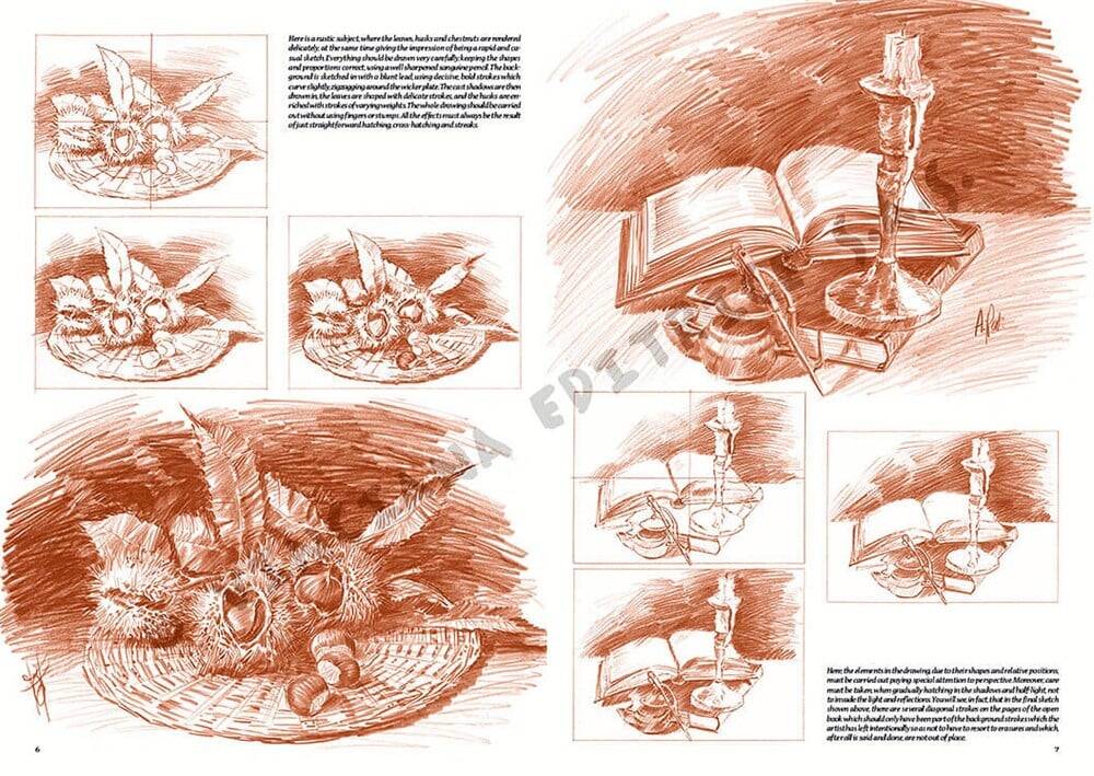 Leonardo Collection Desen Kitabı Stillife N: 25 Natürmort N: 25