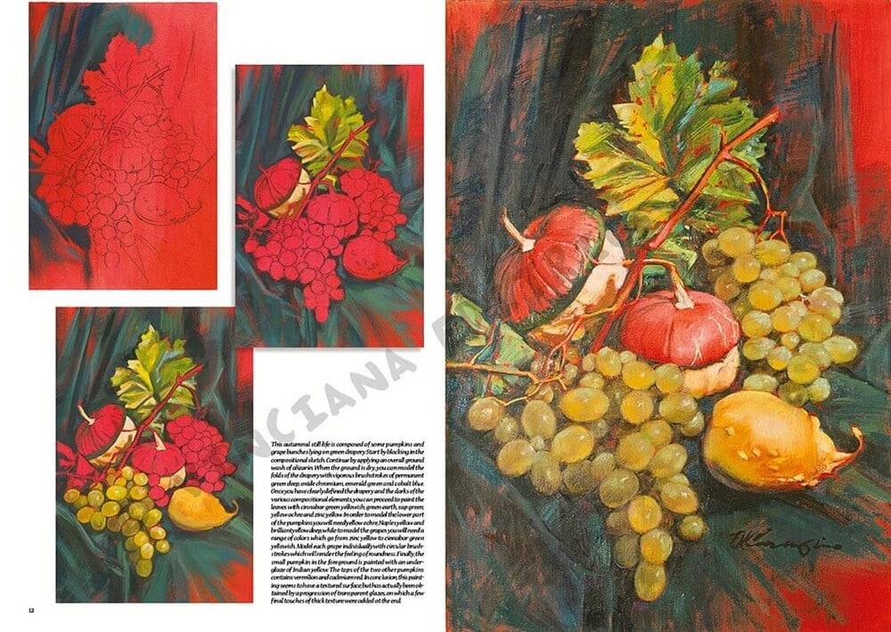 Leonardo Collection Desen Kitabı Stillife N: 25 Natürmort N: 25