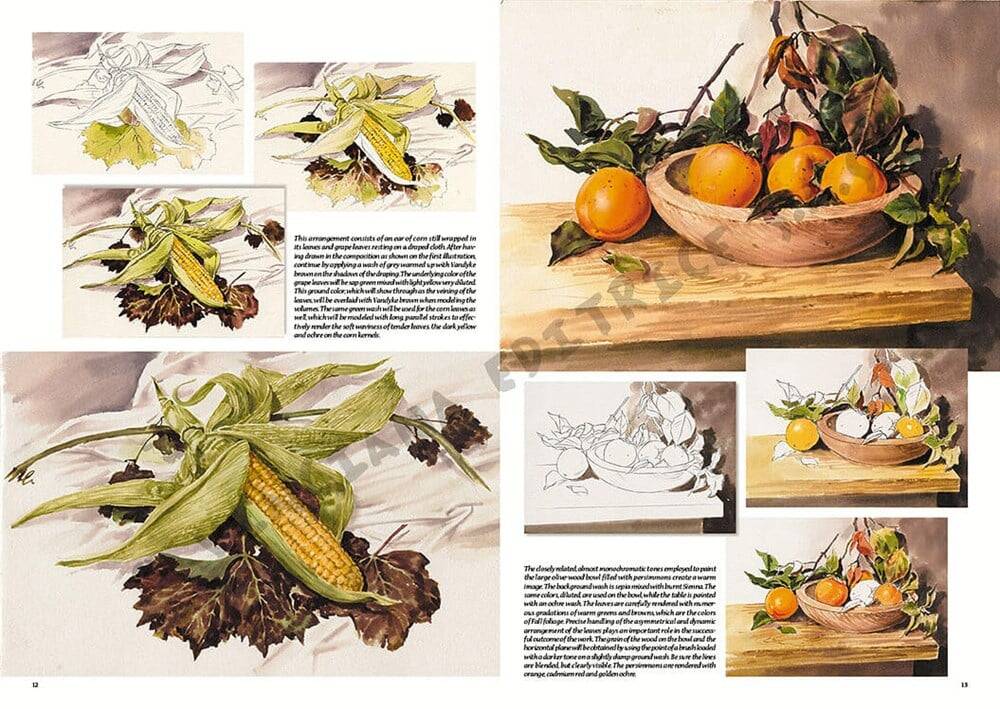 Leonardo Collection Desen Kitabı Stillife N: 26 Natürmort N: 26