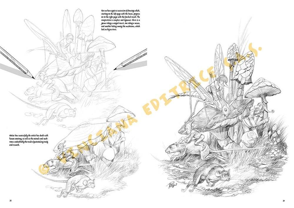 Leonardo Collection Desen Kitabı The Basics Of Comics N: 34 Resimli Mizah Çizim Temelleri N: 34