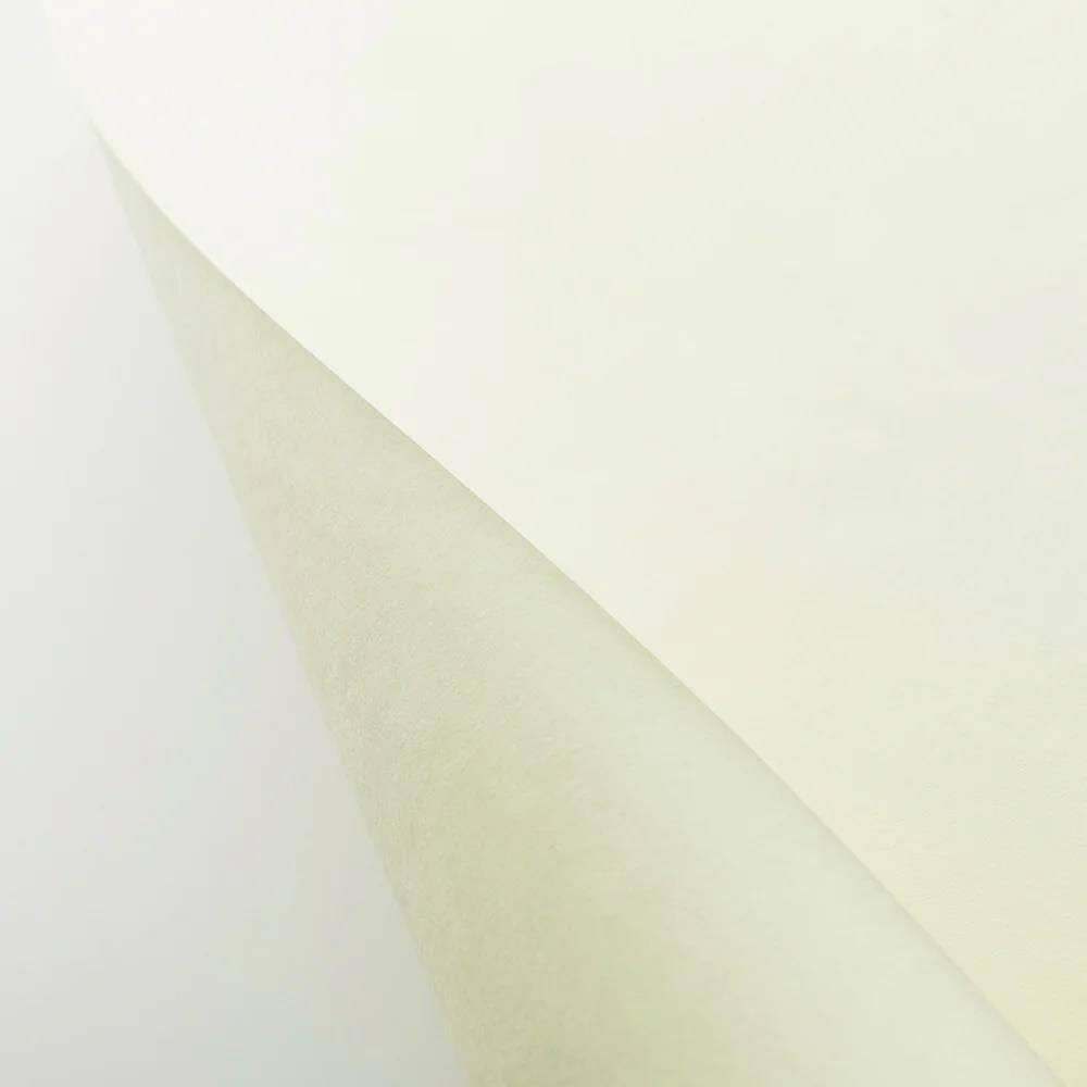 Awagami Japon Kağıdı Shin Inbe Thin Pearl White 65 gr/m2 109.1x78.8 cm