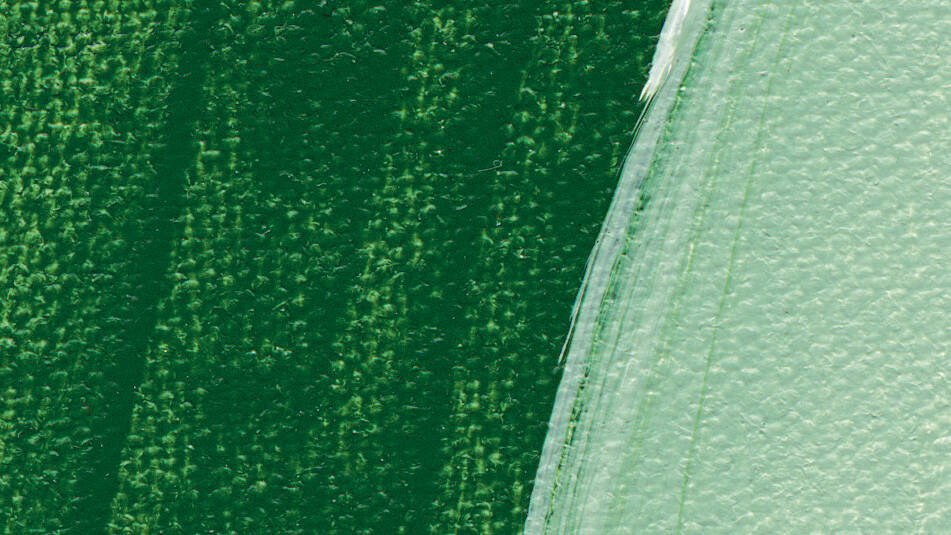Schmincke Akademie Akrilik Boya 120 ml 552 Leaf Green