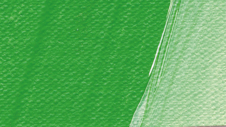 Schmincke Akademie Akrilik Boya 120 ml 554 Permanent Green