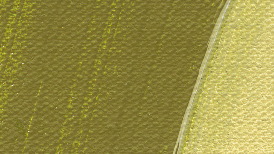 Schmincke Akademie Akrilik Boya 120 ml 558 Olive Green